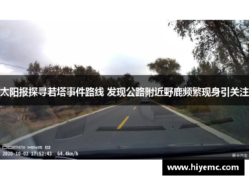 太阳报探寻若塔事件路线 发现公路附近野鹿频繁现身引关注