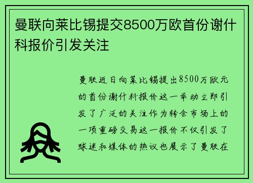 曼联向莱比锡提交8500万欧首份谢什科报价引发关注